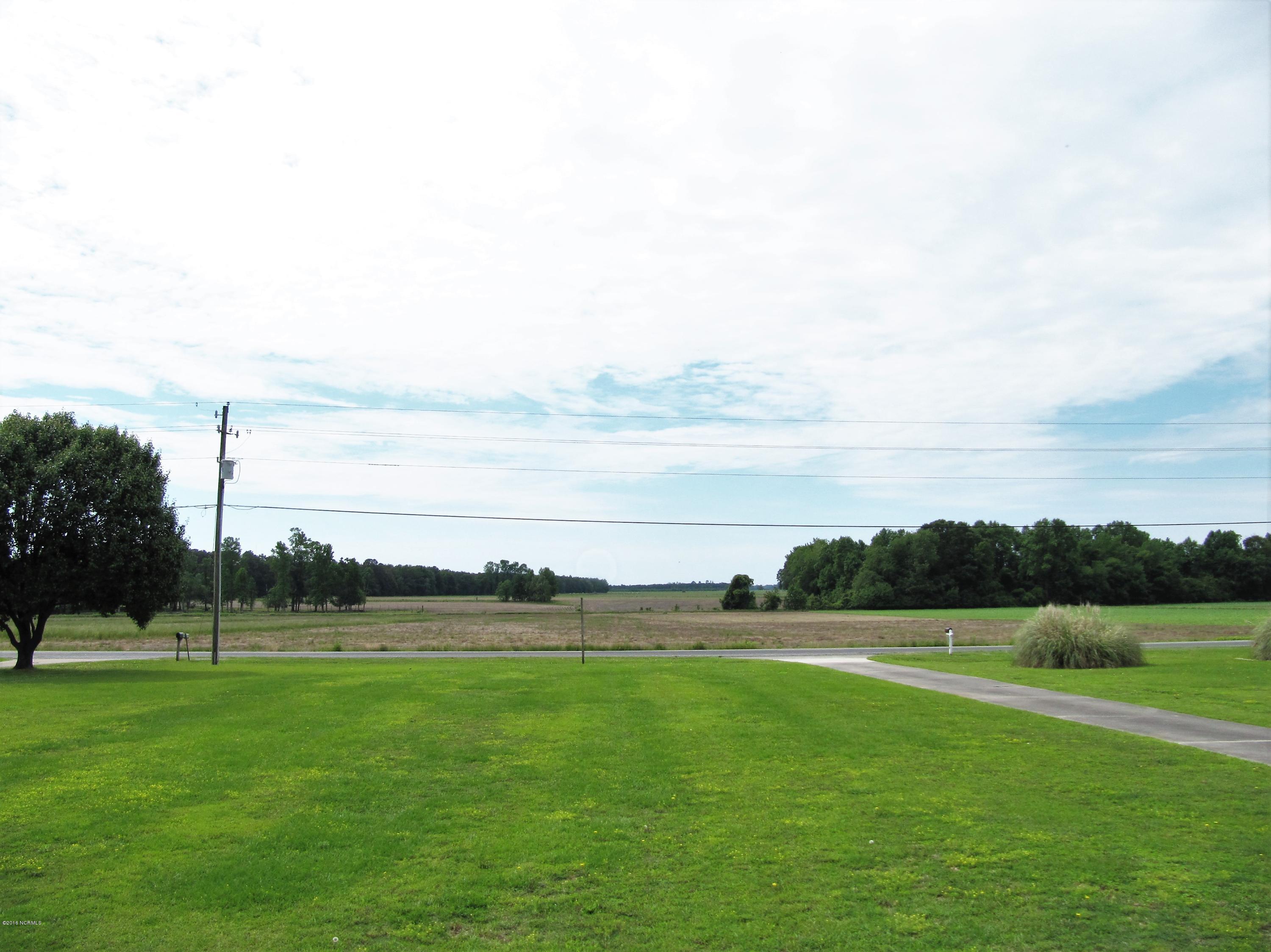 522 Old Snow Hill Road Ayden, NC 28513 - Photo 36 of 36 view from front porch