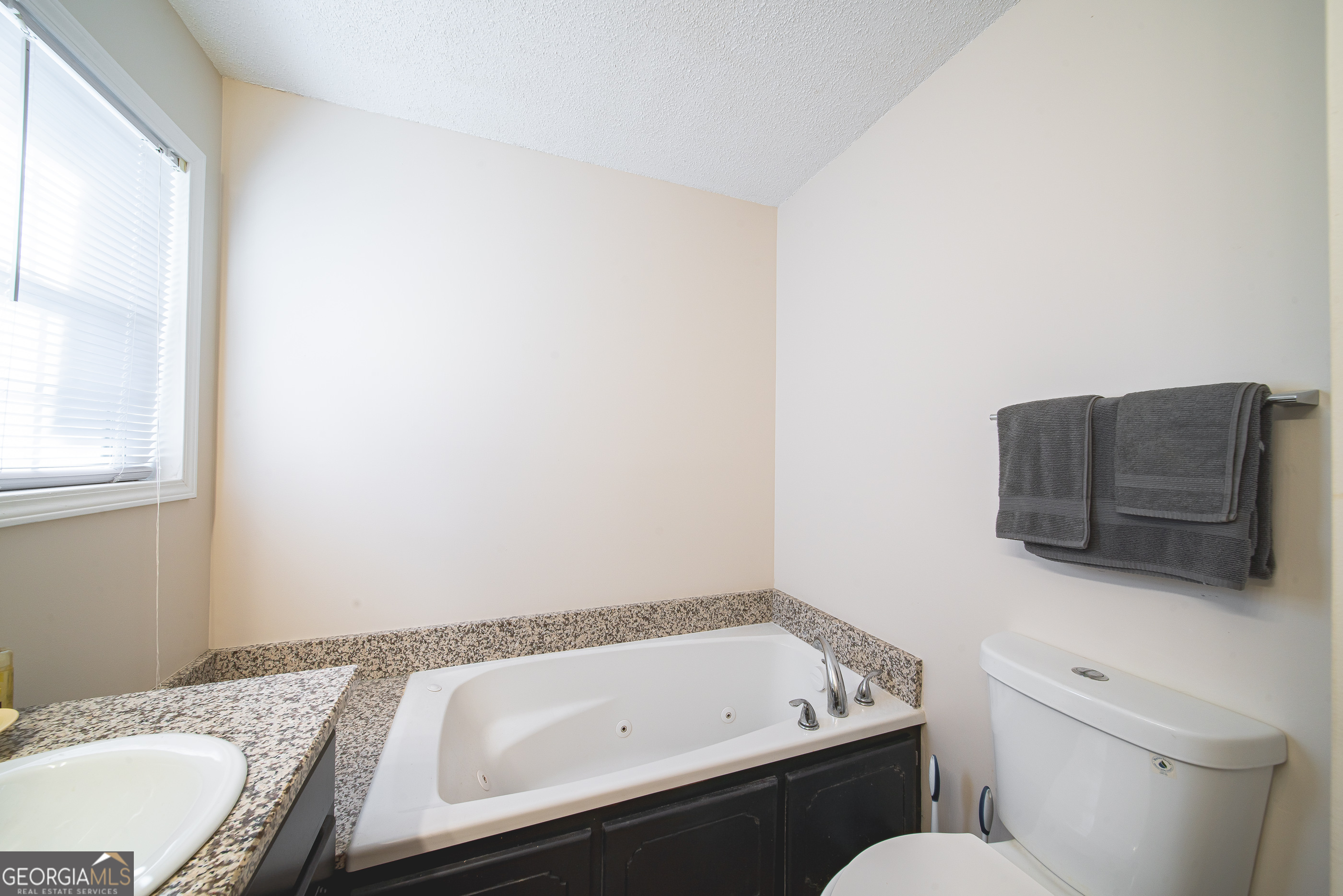 200 Lake Amah Lee Road Hampton, GA 30228 - Photo 30 of 37 a bathroom with a sink and a toilet