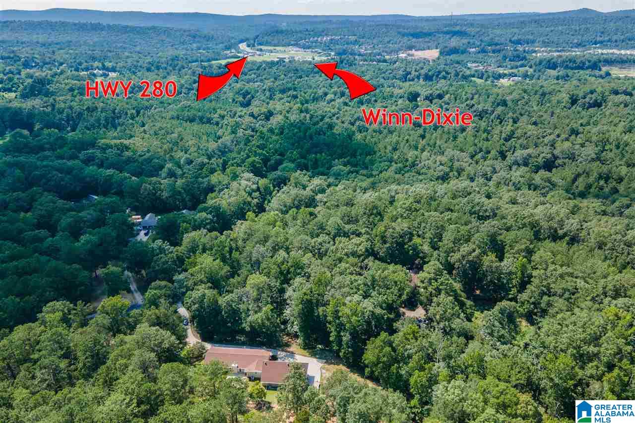 41 North Fork Circle Chelsea, AL 35043 - Photo 4 of 42