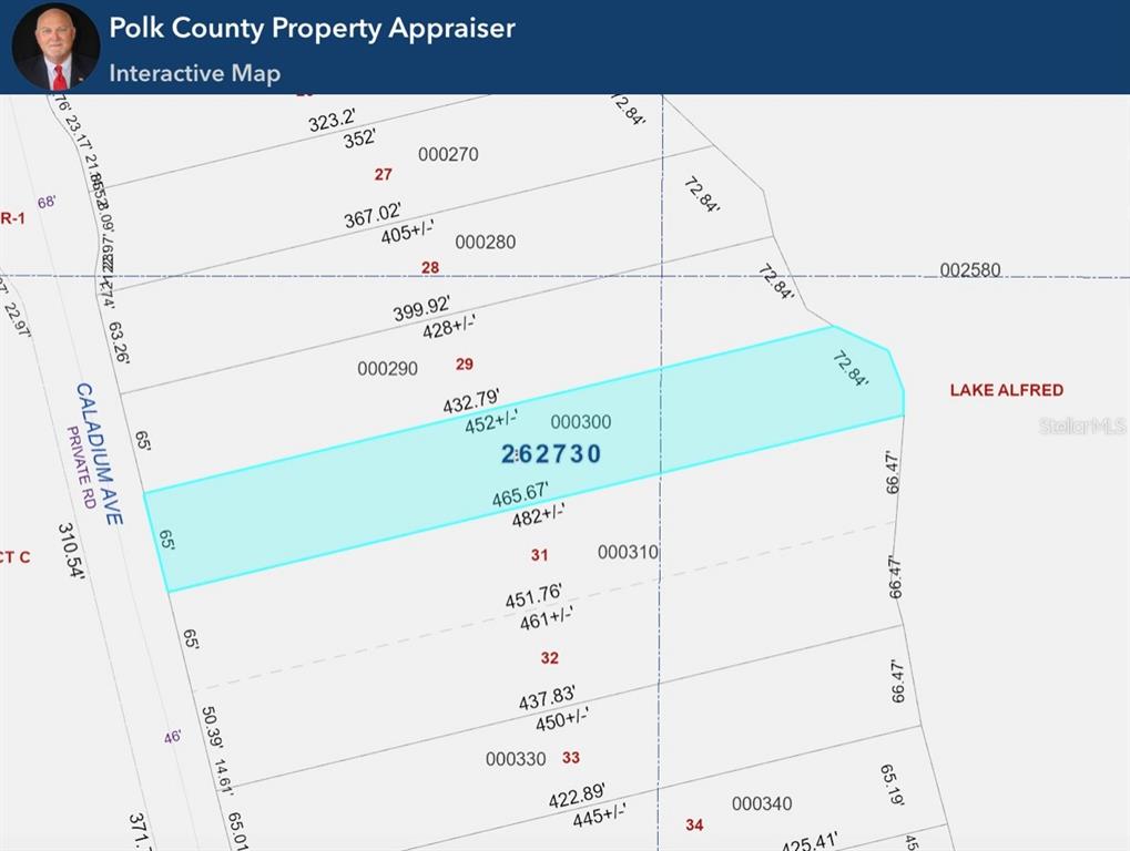 328 Caladium Avenue Lake Alfred, FL 33850 - Photo 7 of 41