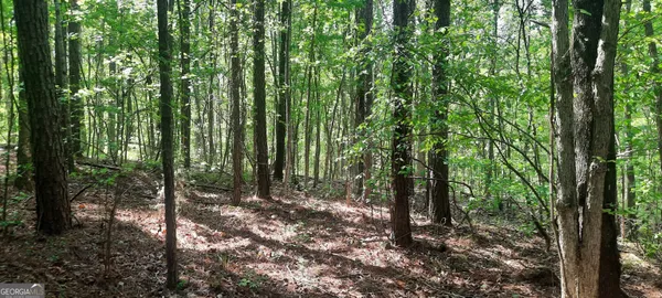 a view of outdoor space and trees
