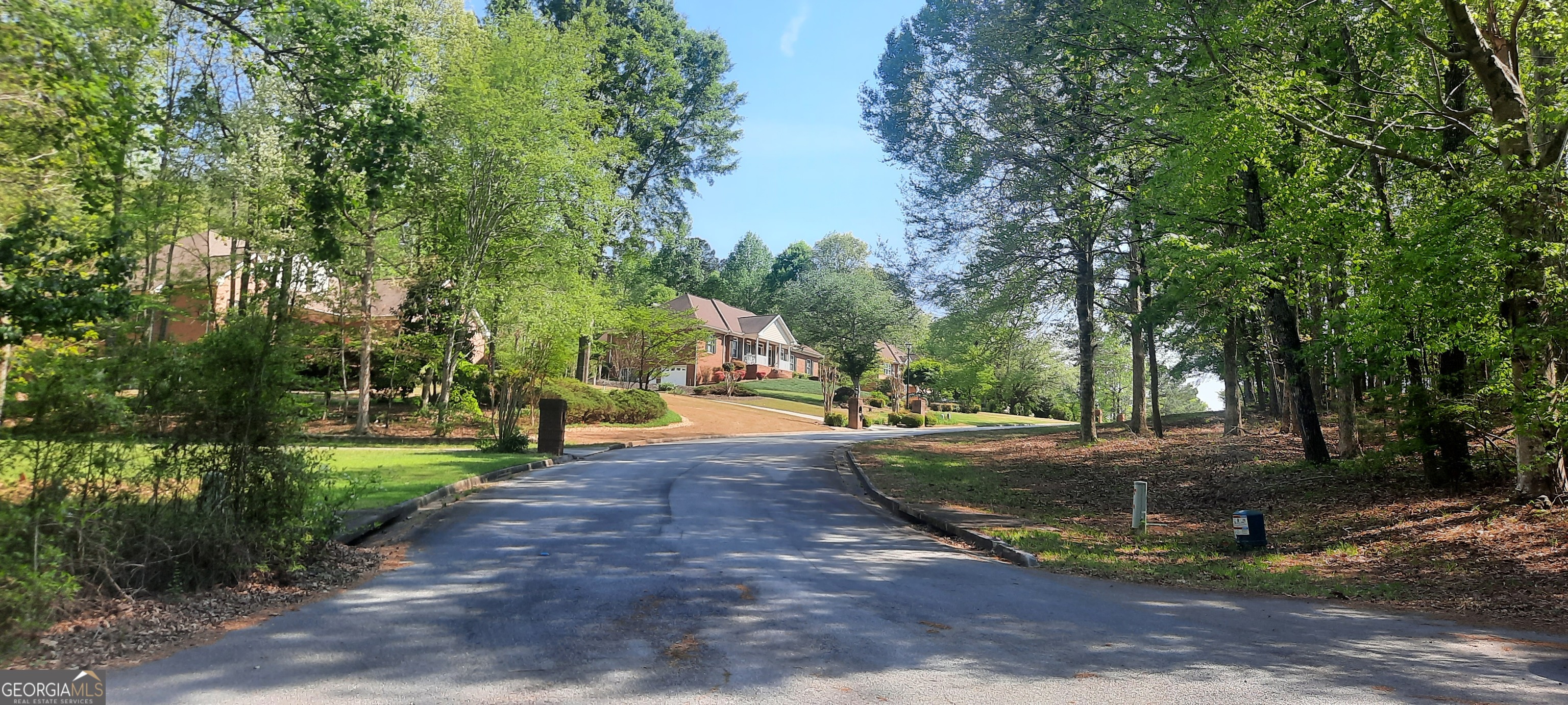 11300 Azalea Trail Hampton, GA 30228 - Photo 6 of 7 a view of a park with large trees