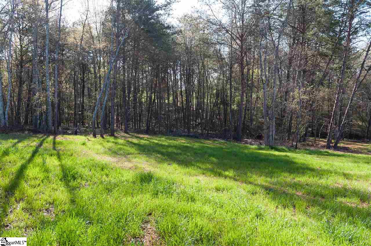 324 Bent River Drive Inman, SC 29349 - Photo 23 of 23 Gallery Image 23