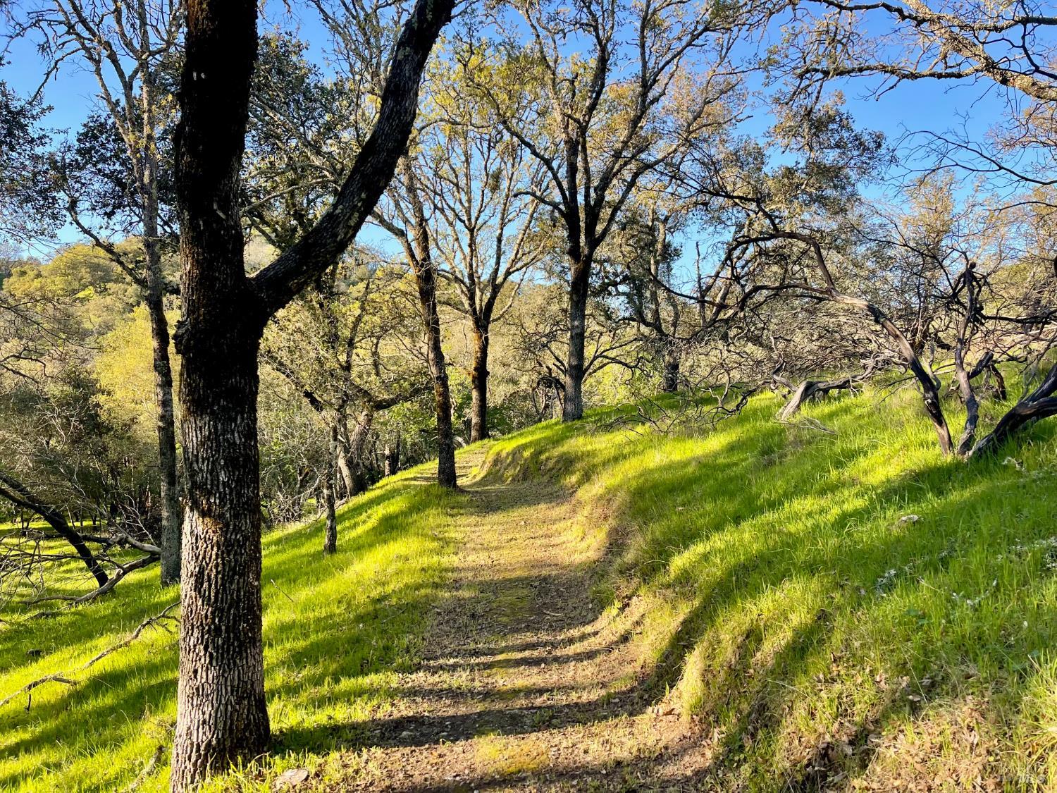 2843 Wright Ranch Lane Healdsburg, CA 95448 - Photo 75 of 82