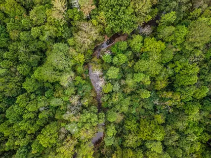 $250,800 | 2.09-ac Old Northcutt Road, Ellijay, GA 30540