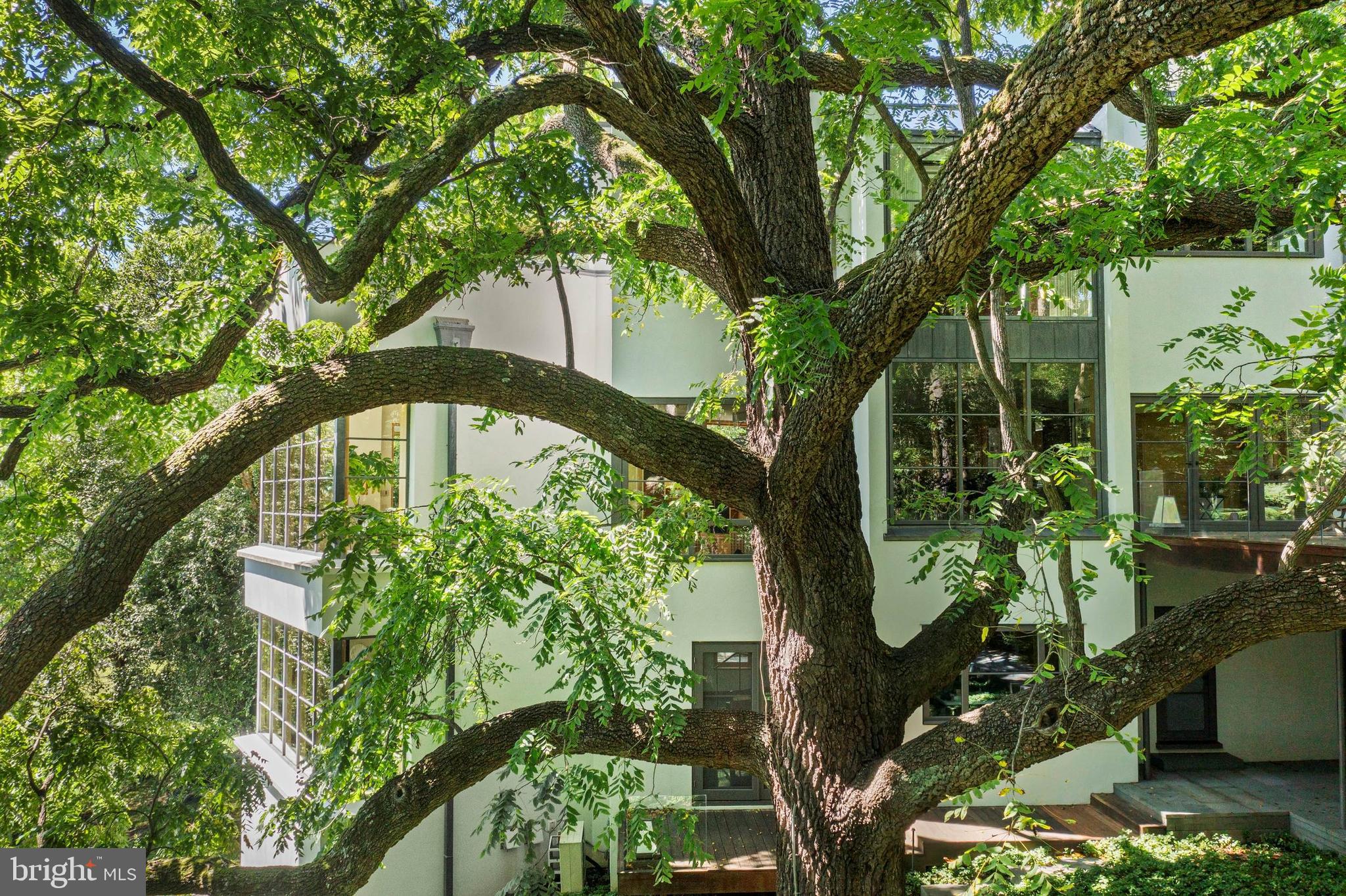 308-310 Julip Run Wayne, PA 19087 - Photo 118 of 127 Designed in harmony with nature - 100 yr old tree