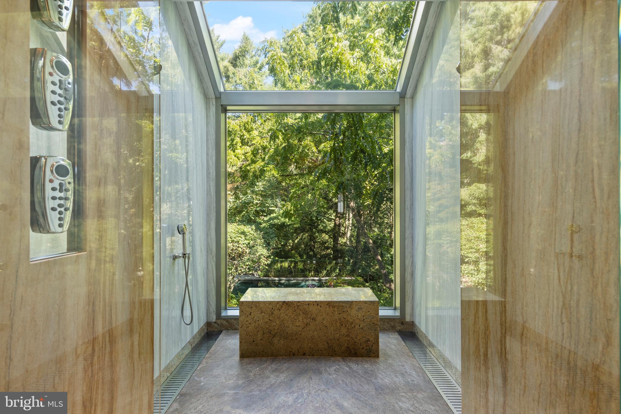 308-310 Julip Run Wayne, PA 19087 - Photo 65 of 127 Primary shower