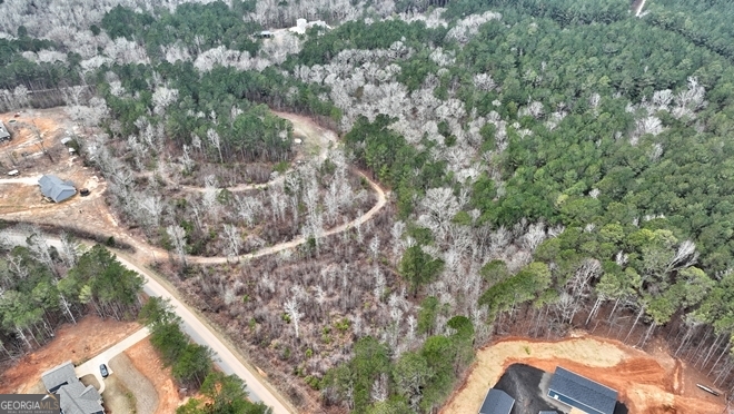 Lot 5 Cochran Road Madison, GA 30650 - Photo 9 of 15