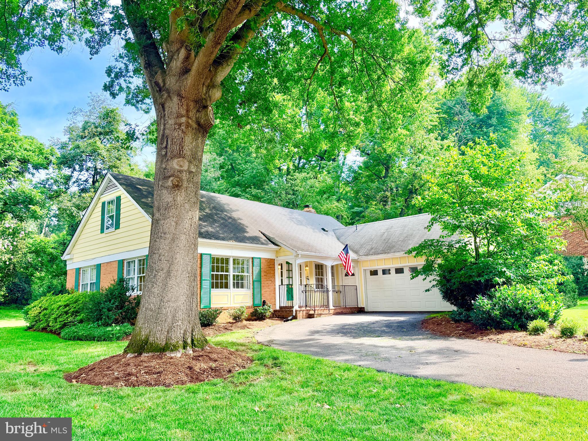 8300 Chivalry Road Annandale, VA 22003 - Photo 1 of 7 Updated! Main Level Living! Backs to Parkland!