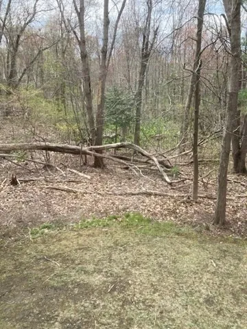 $3,500 | 304 Manor Terrace, Unit 304, Lexington, MA 02420