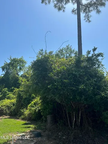 $10,000 | Poni Place, Diamondhead, MS 39525