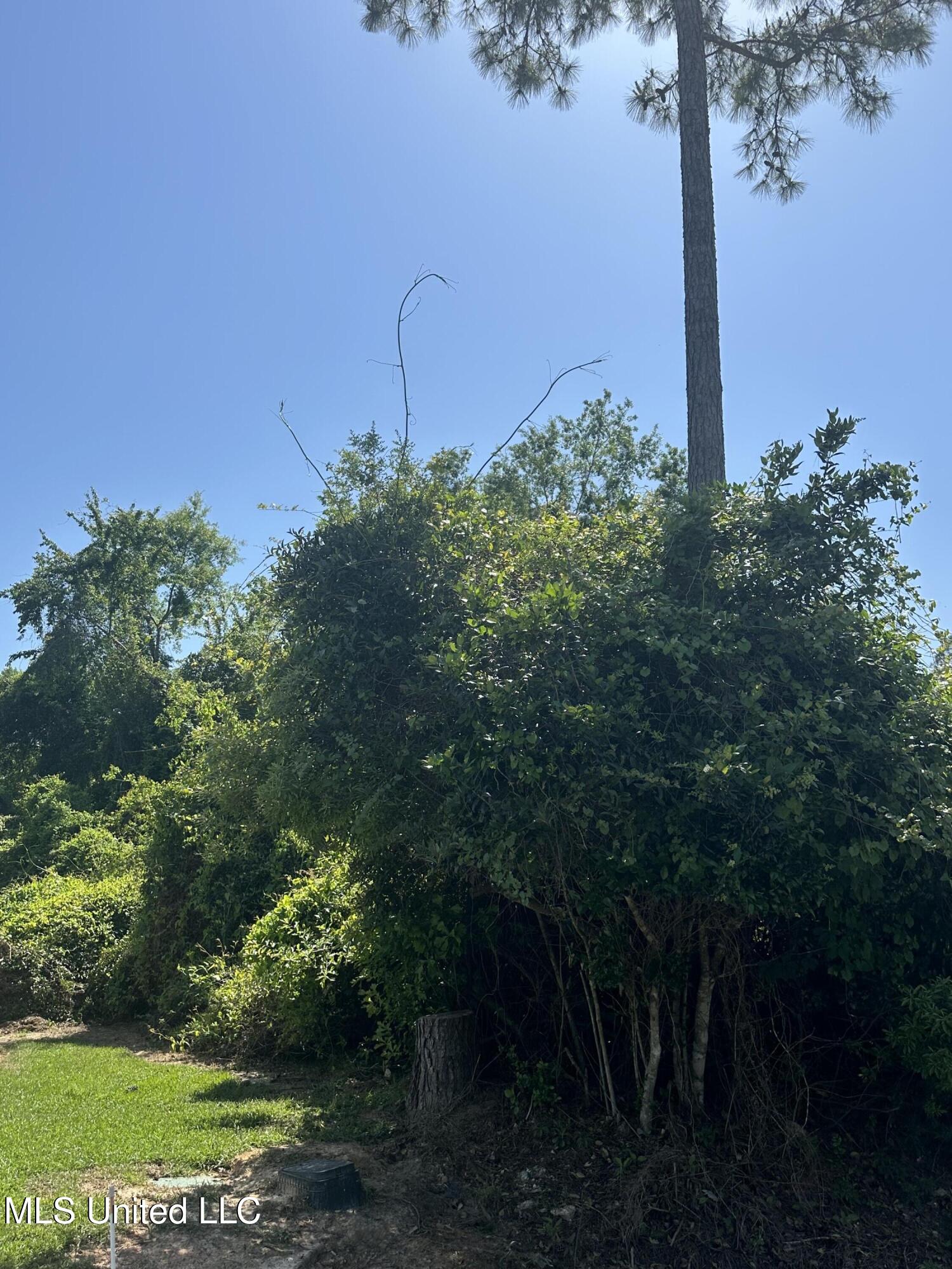 Poni Place Diamondhead, MS 39525 - Photo 3 of 7 IMG_6820