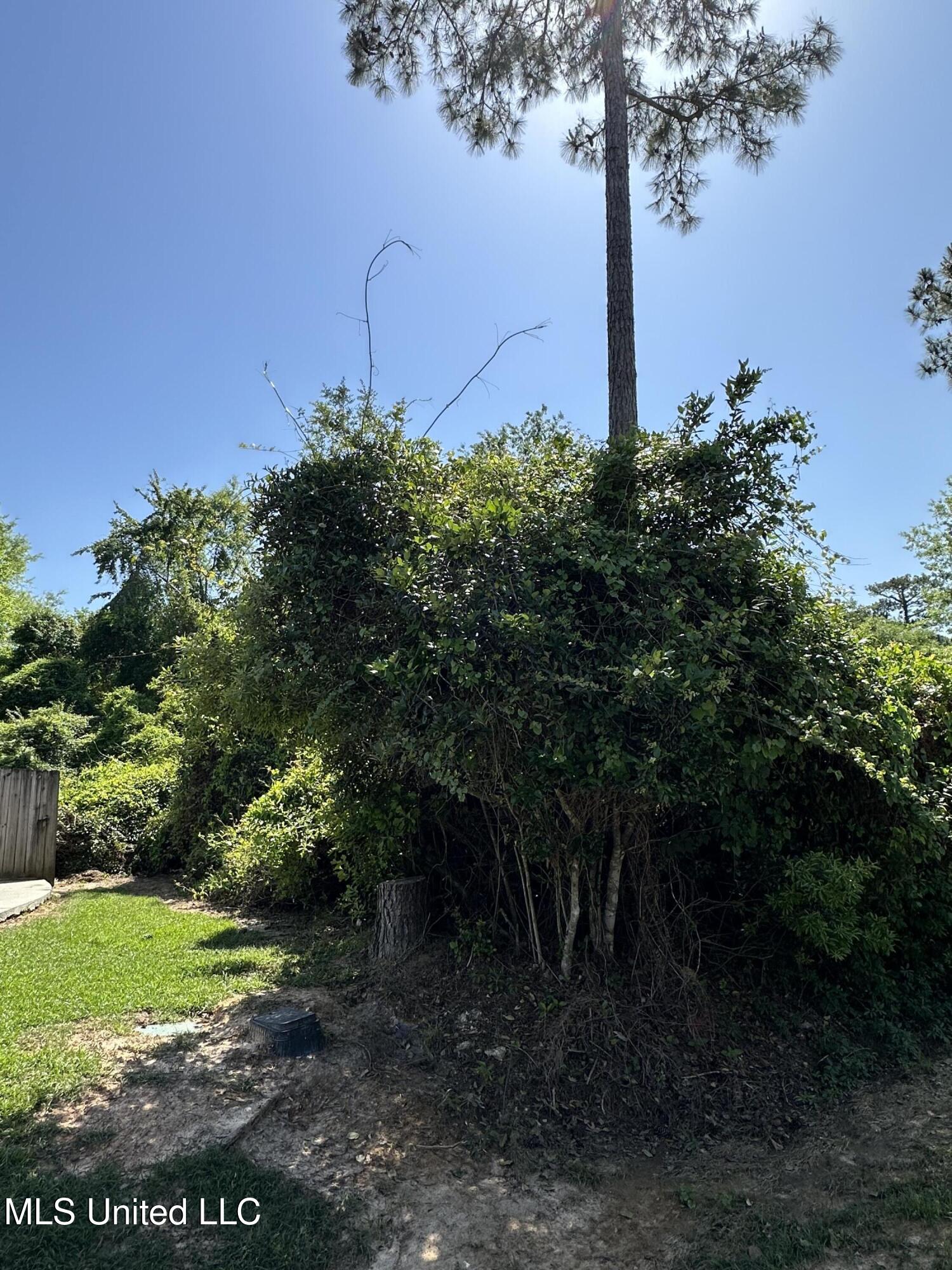 Poni Place Diamondhead, MS 39525 - Photo 4 of 7 IMG_6822