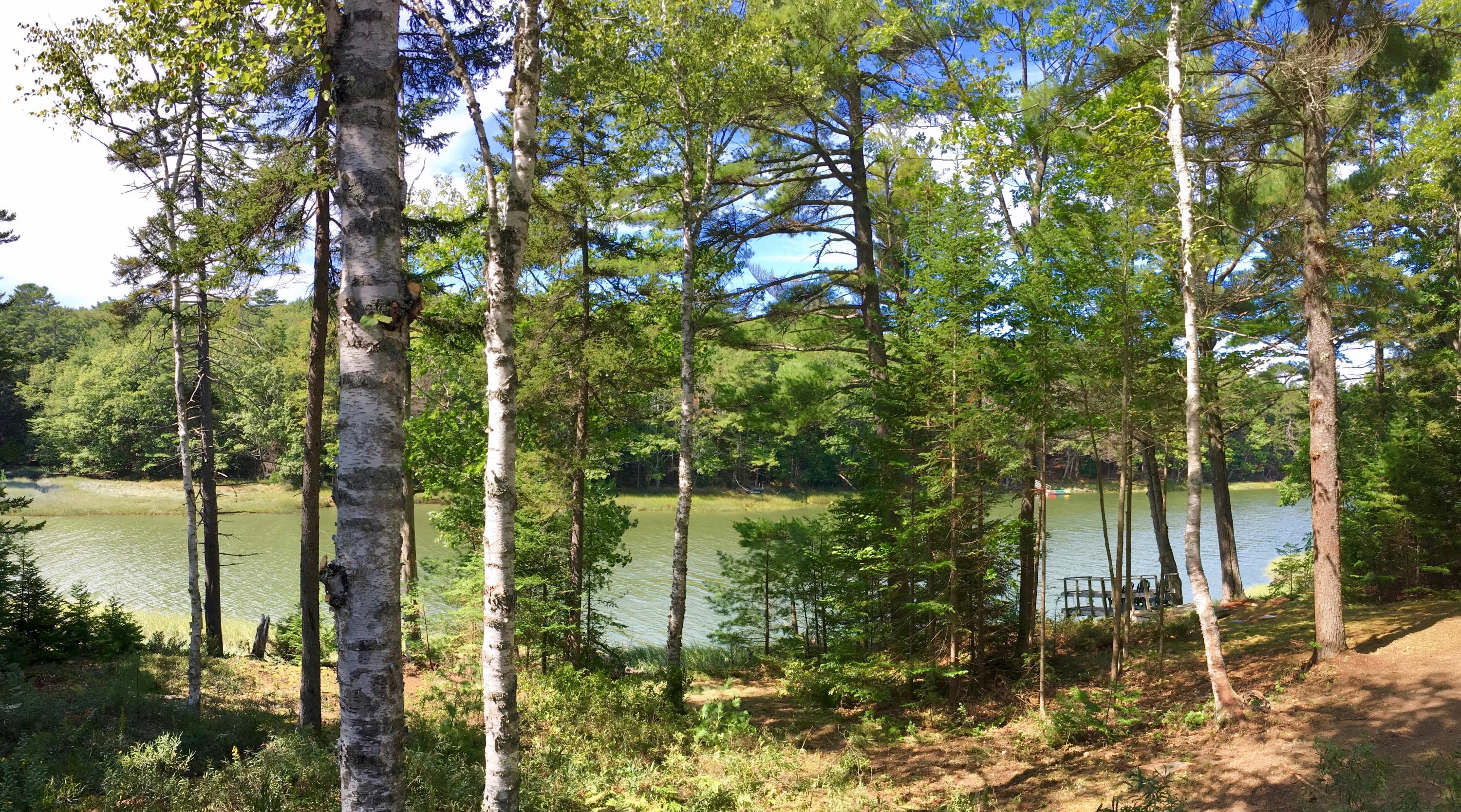103 Sebascodegan Shores Road Harpswell, ME 04079 - Photo 11 of 29 IMG_0635