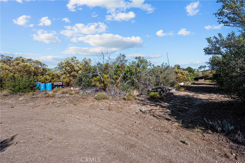 13298 Chihuahua Valley Road Warner Springs, CA 92086 - Photo 16 of 19 a view of a dry yard with trees