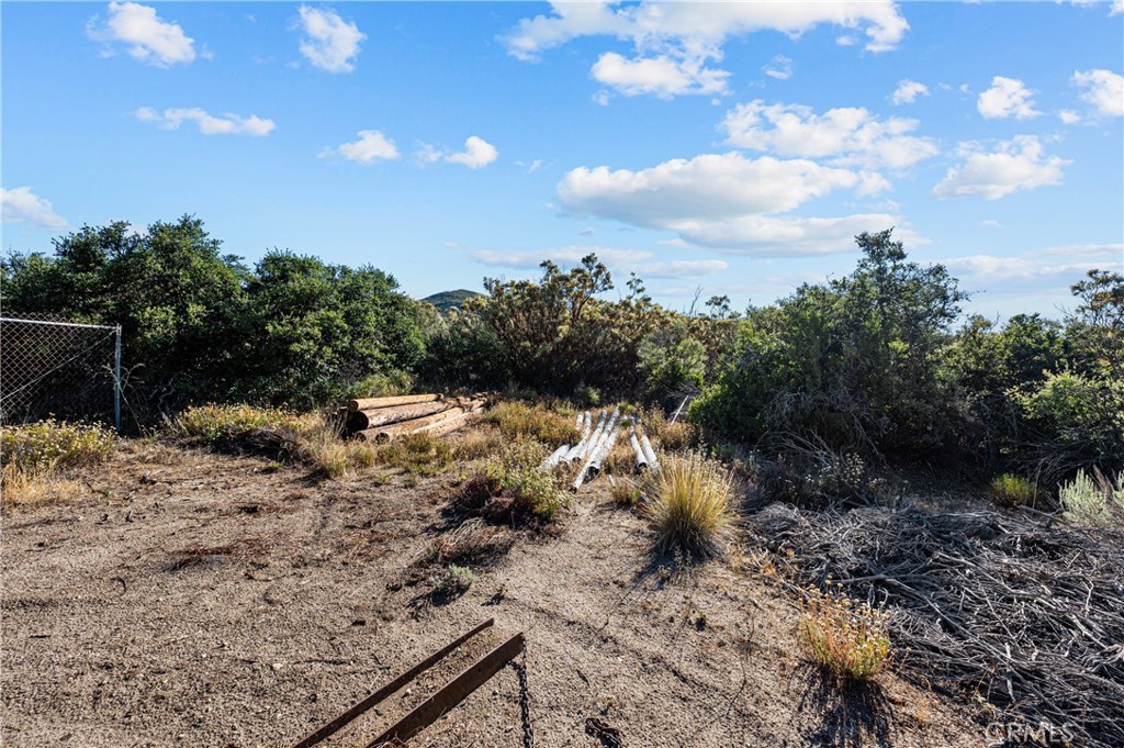 13298 Chihuahua Valley Road Warner Springs, CA 92086 - Photo 19 of 19 a view of a yard with a tree