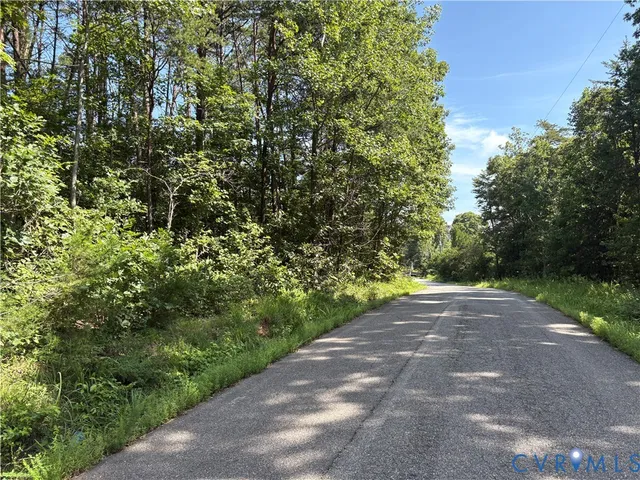 a view of a yard with plants and trees