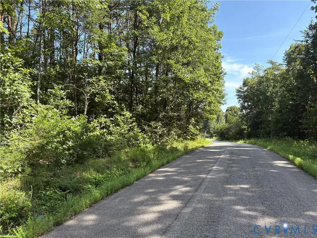 a view of a yard with plants and trees