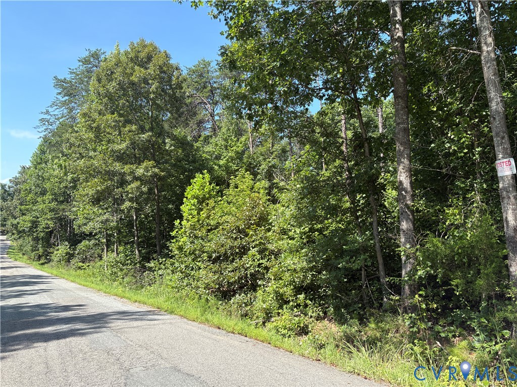 0 Ragland Road Goochland, VA 23063 - Photo 4 of 4 Gallery Image 4