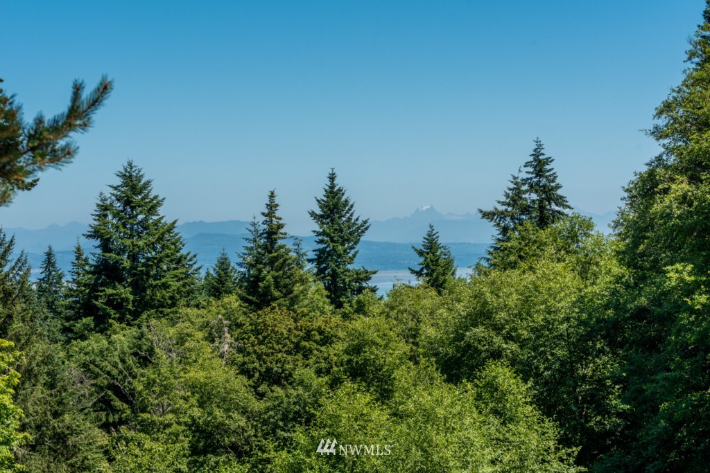 2990 North Slater Road Oak Harbor, WA 98277 - Photo 4 of 24 Gallery Image 4