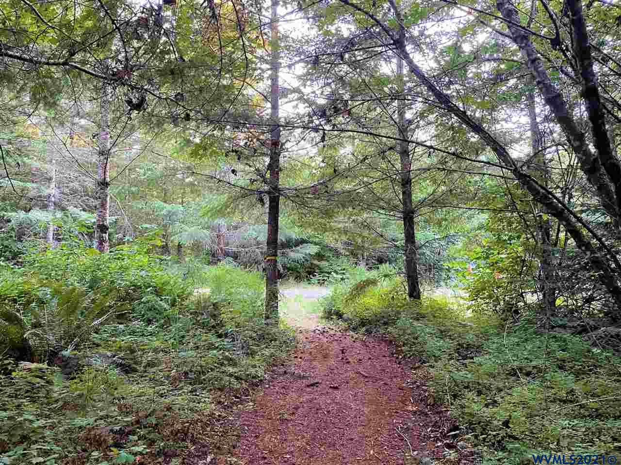 Tl804 Hall Road Cheshire, OR 97419 - Photo 16 of 17 Gallery Image 16