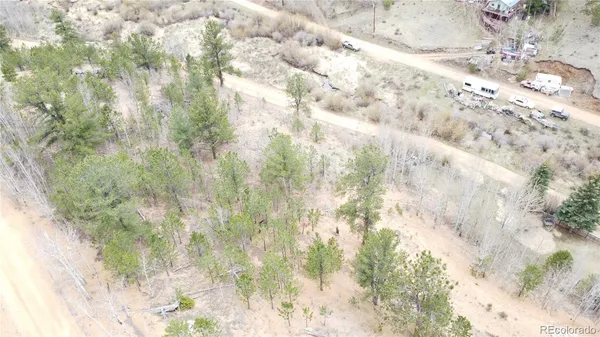 a close up of a plant in a granite