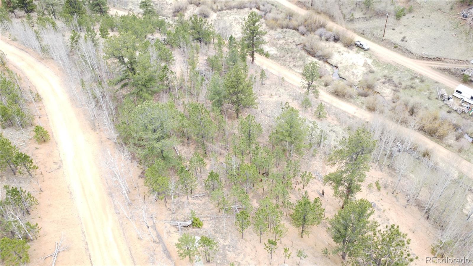 312 Marian Street Bailey, CO 80421 - Photo 12 of 13 a close up of a plant in a granite