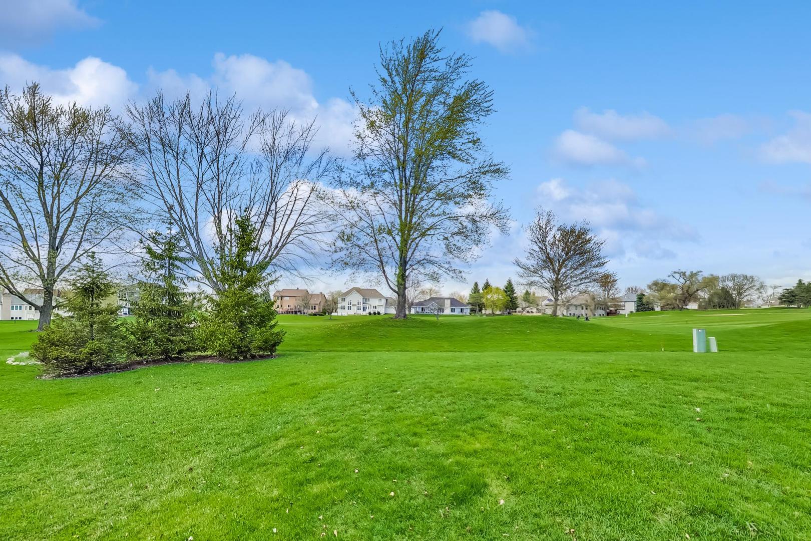 39898 North Harbor Ridge Drive Antioch, IL 60002 - Photo 23 of 27 a view of a garden with a tree