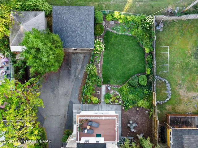 a living room with furniture or couch and a potted plant