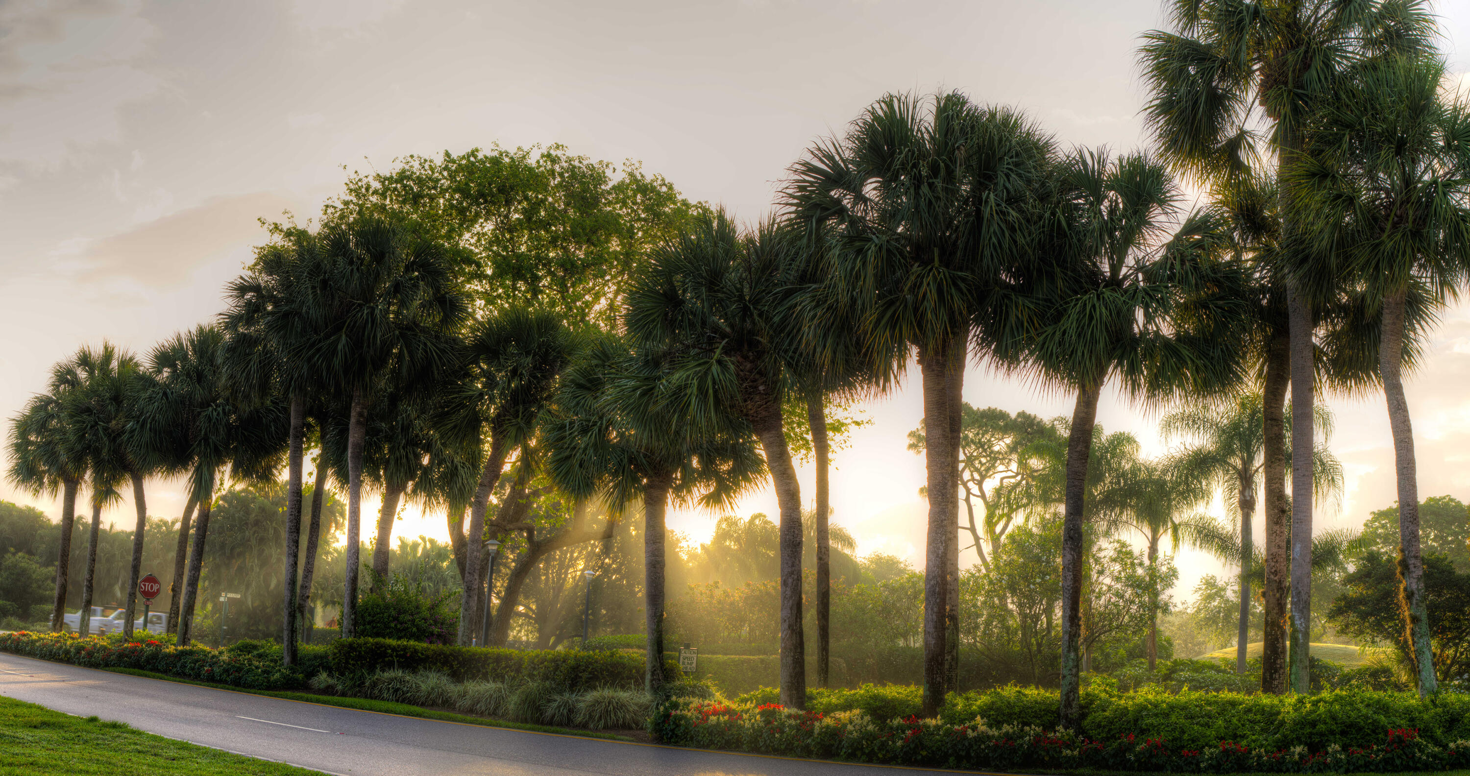 19629 Bay Cove Drive Boca Raton, FL 33434 - Photo 66 of 91 Boca West CC Golf c4-road