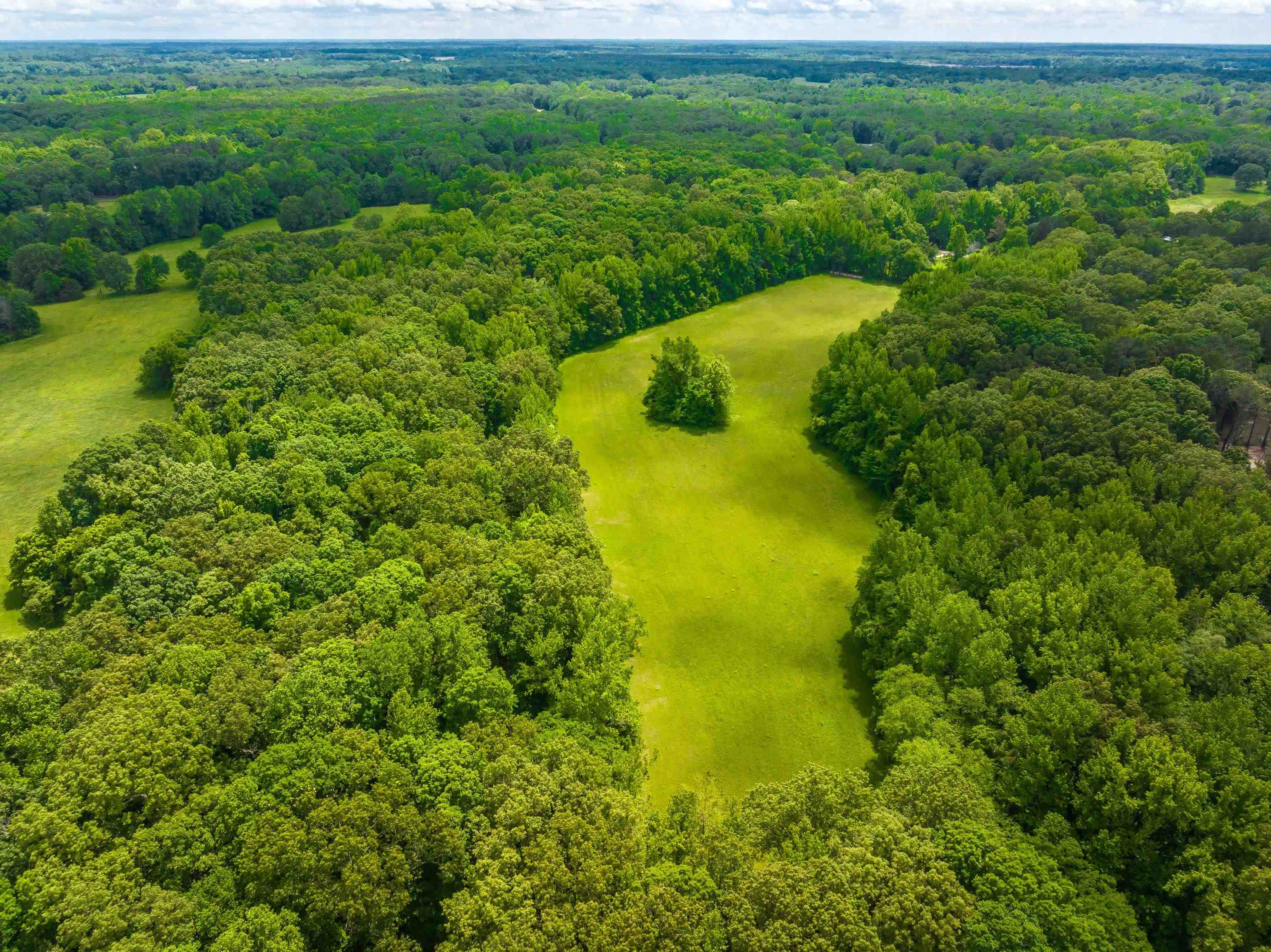 25-acres Dogwood Road Somerville, TN 38068 - Photo 3 of 16 a view of a lake view with lots of green space