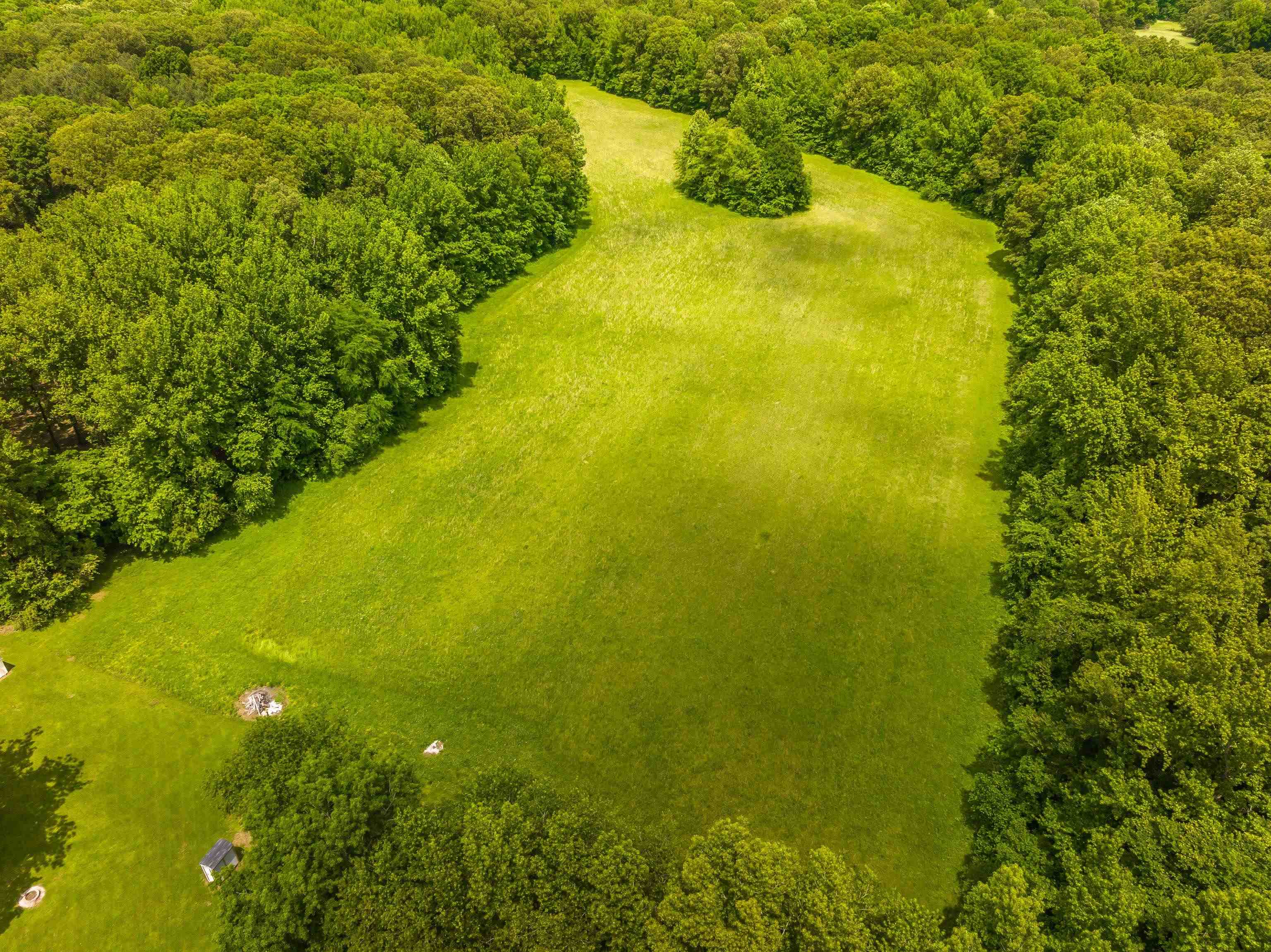 25-acres Dogwood Road Somerville, TN 38068 - Photo 5 of 16 a view of a big yard with an outdoor space