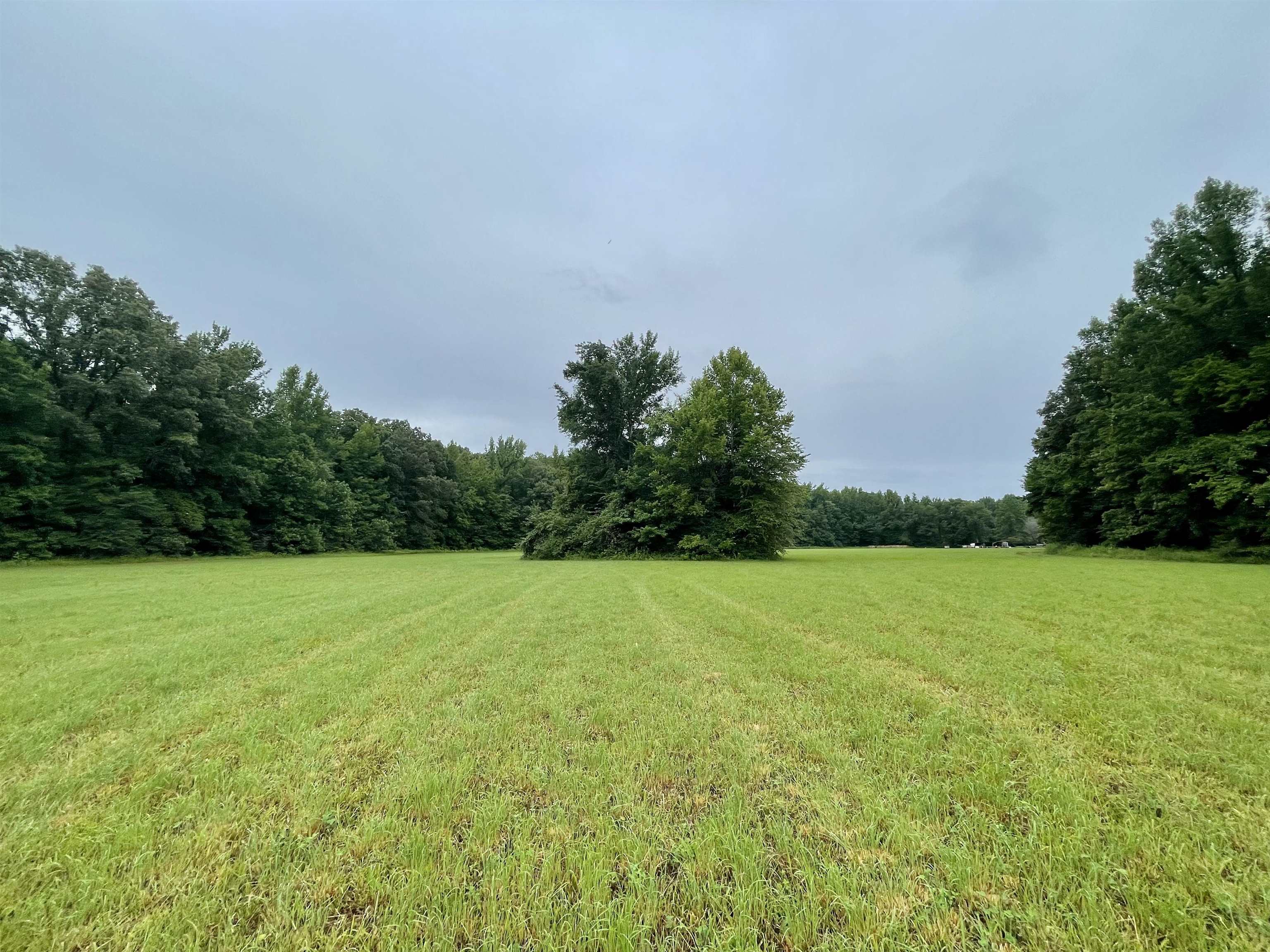 25-acres Dogwood Road Somerville, TN 38068 - Photo 7 of 16 a view of field and trees in the background