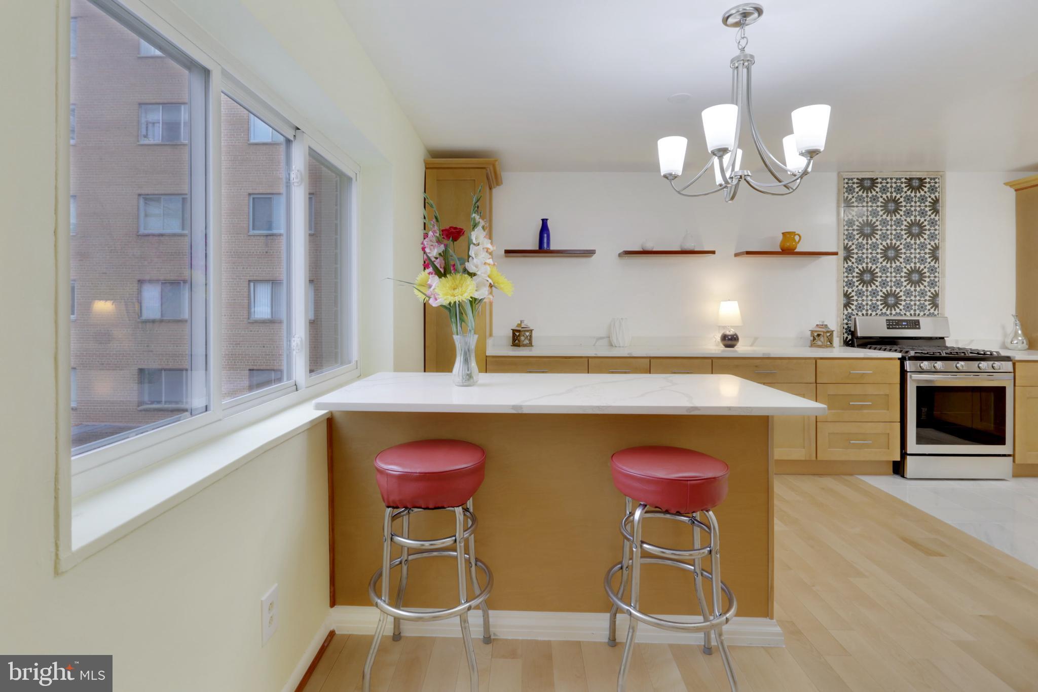 614 Sligo Avenue, Unit 207 Silver Spring, MD 20910 - Photo 8 of 32 Incredible Kitchen with Breakfast Bar!