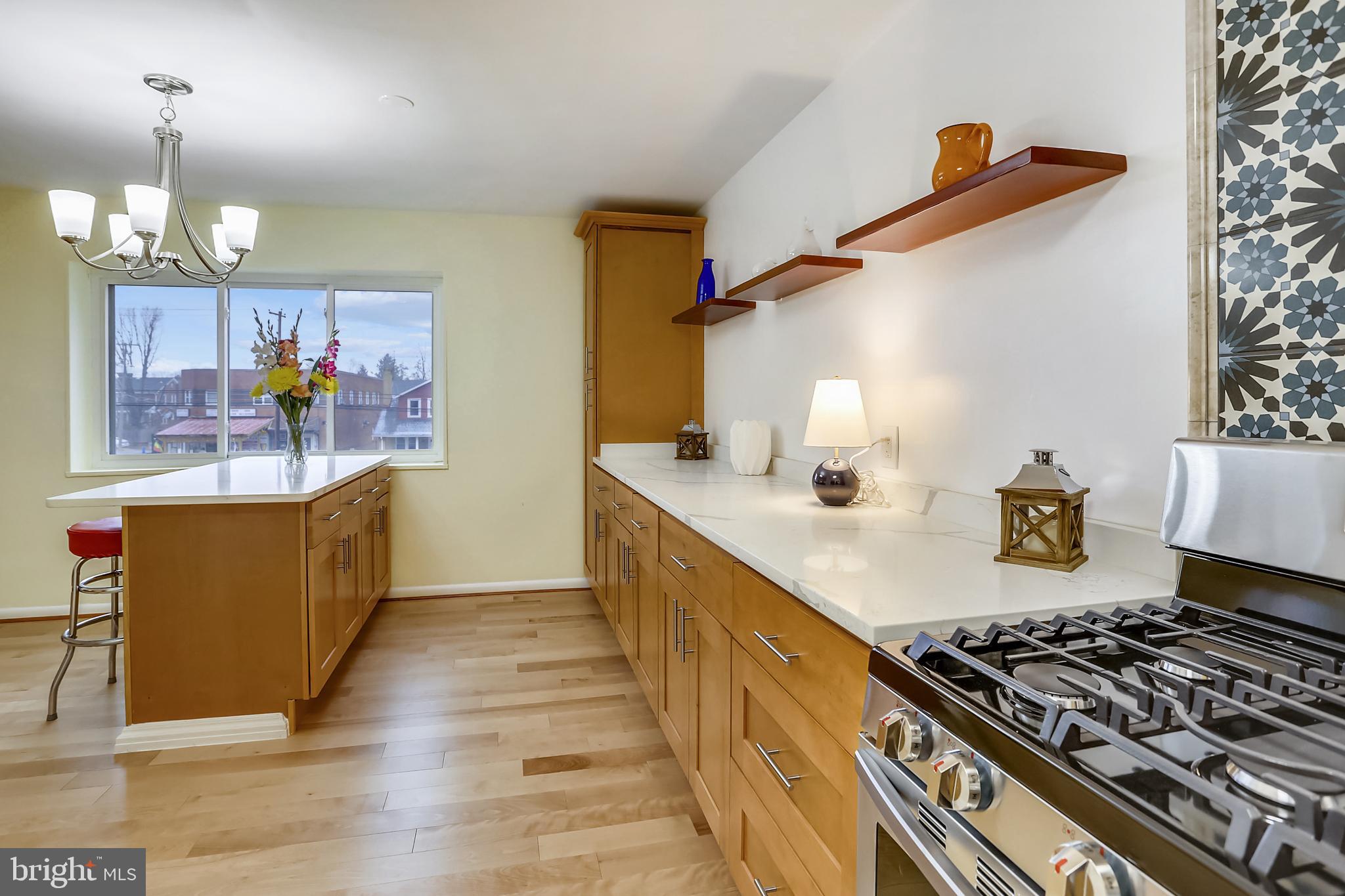 614 Sligo Avenue, Unit 207 Silver Spring, MD 20910 - Photo 10 of 32 5 Burner Gas Range & So Much Counter Space!