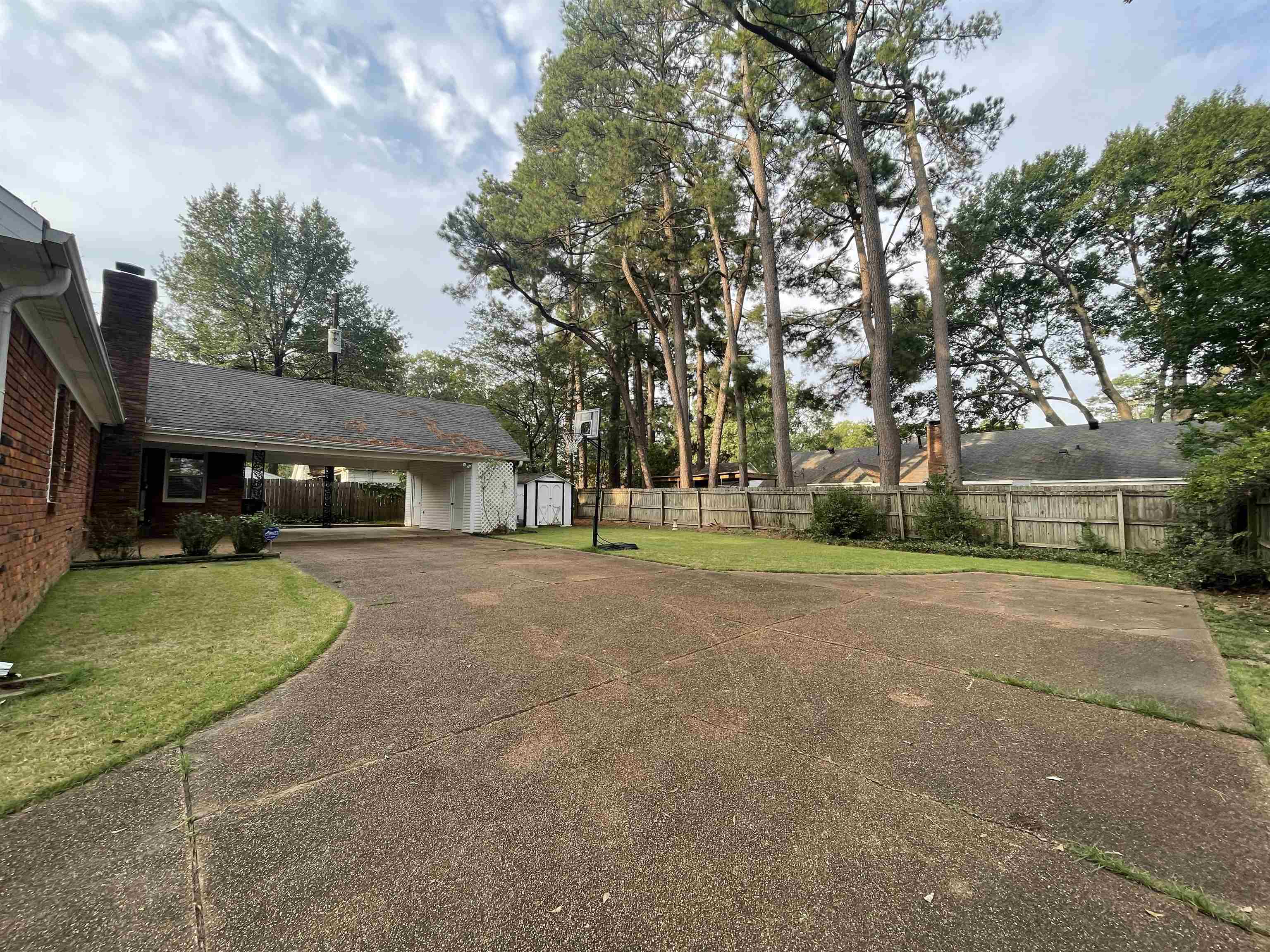 379 McElroy Road Memphis, TN 38120 - Photo 3 of 19 View of yard with driveway, an attached carport, and a shed