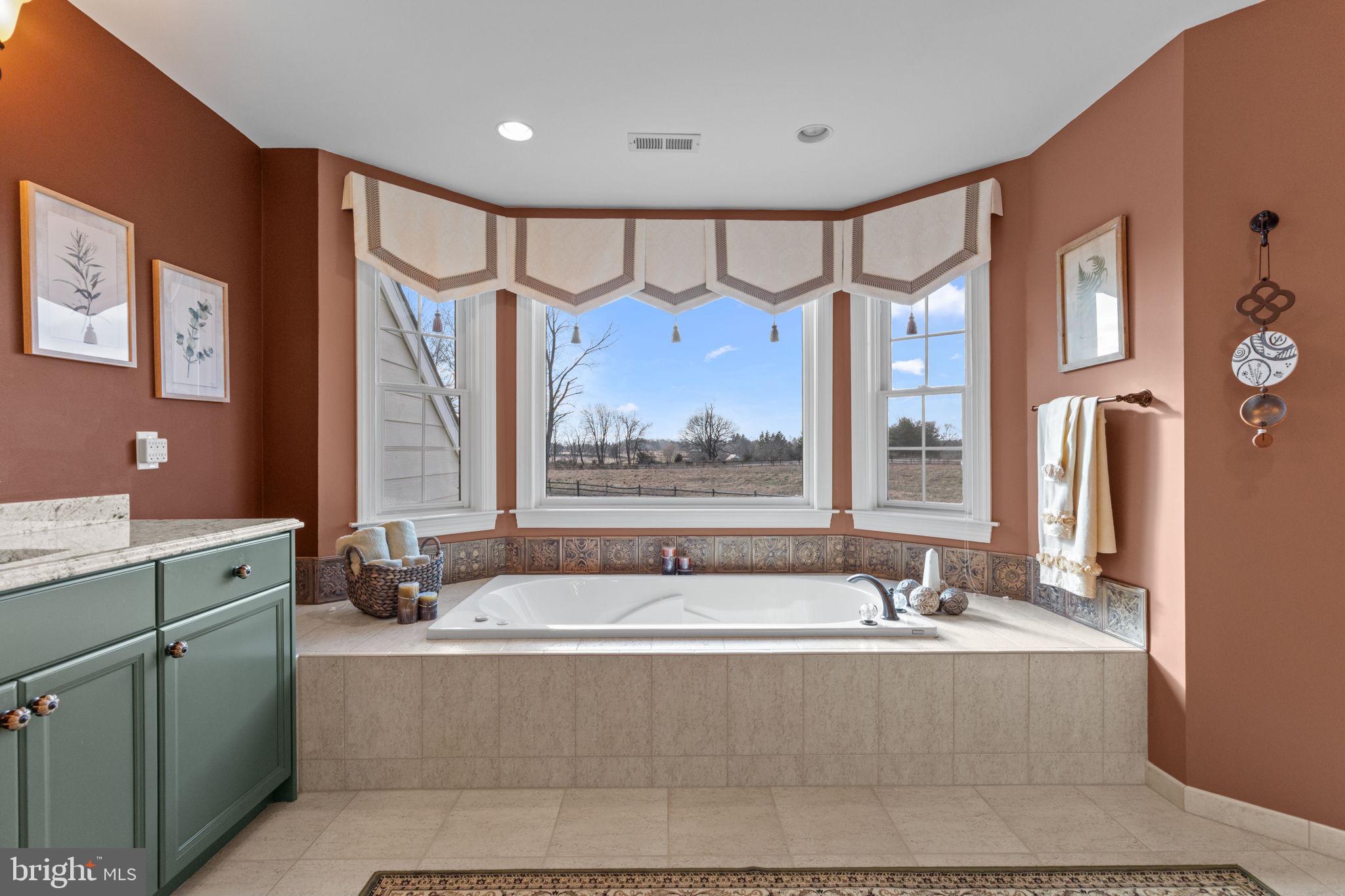 1100 Pineville Road New Hope, PA 18938 - Photo 36 of 97 Primary bathroom