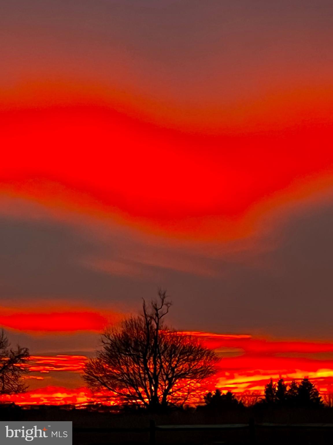 1100 Pineville Road New Hope, PA 18938 - Photo 78 of 97 How about these sunsets from the backyard!