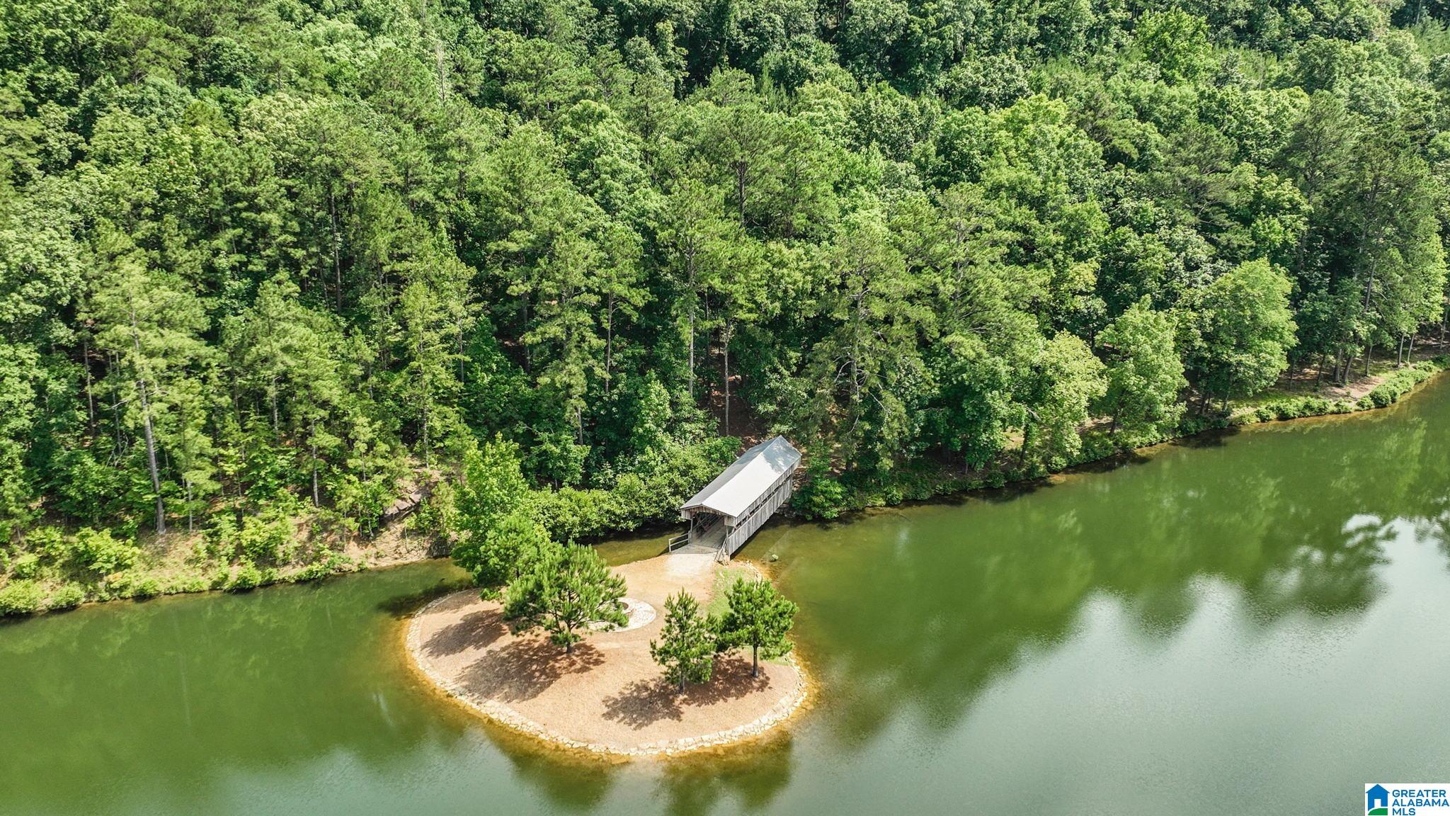 Lot 23 Saunders Bridge Road, Unit 23 Sterrett, AL 35147 - Photo 13 of 30