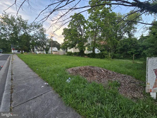 a view of a park with large trees