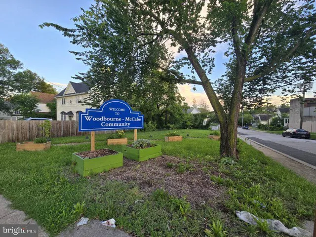 a view of a yard with tree s