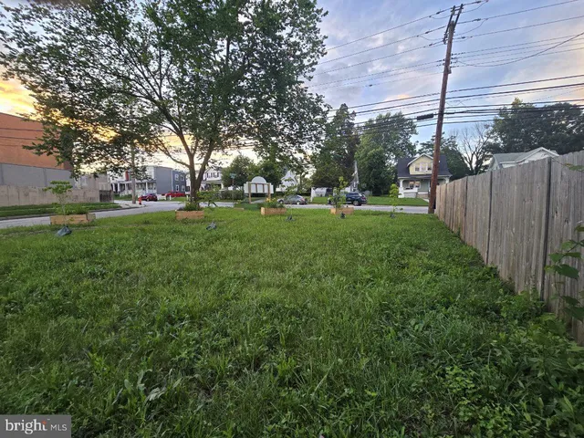 a view of a park with large trees