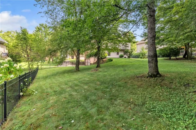 a view of yard with trees
