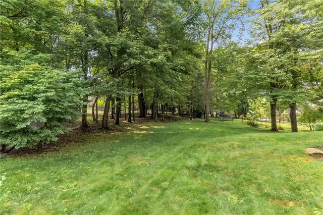 a view of park space