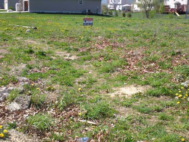 254 McCutcheon Road Columbus, OH 43230 - Photo 3 of 4