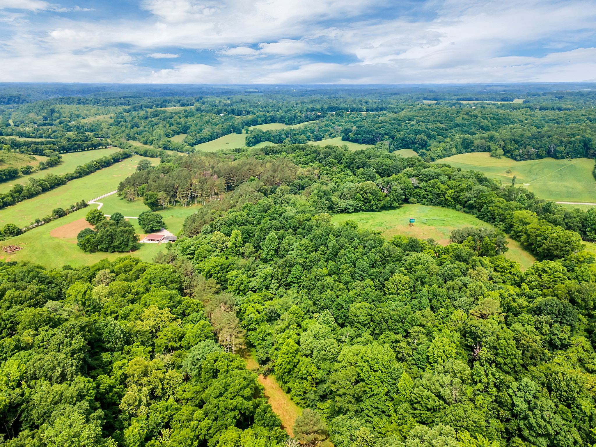 1764 Wray Branch Road Minor Hill, TN 38473 - Photo 20 of 28