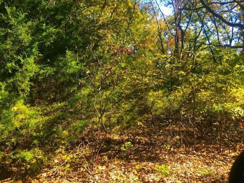 Tbd Ance Acres Lane, Unit 15 & 16 Reeds Spring, MO 65737 - Photo 5 of 12 20231010190909397521000000-o