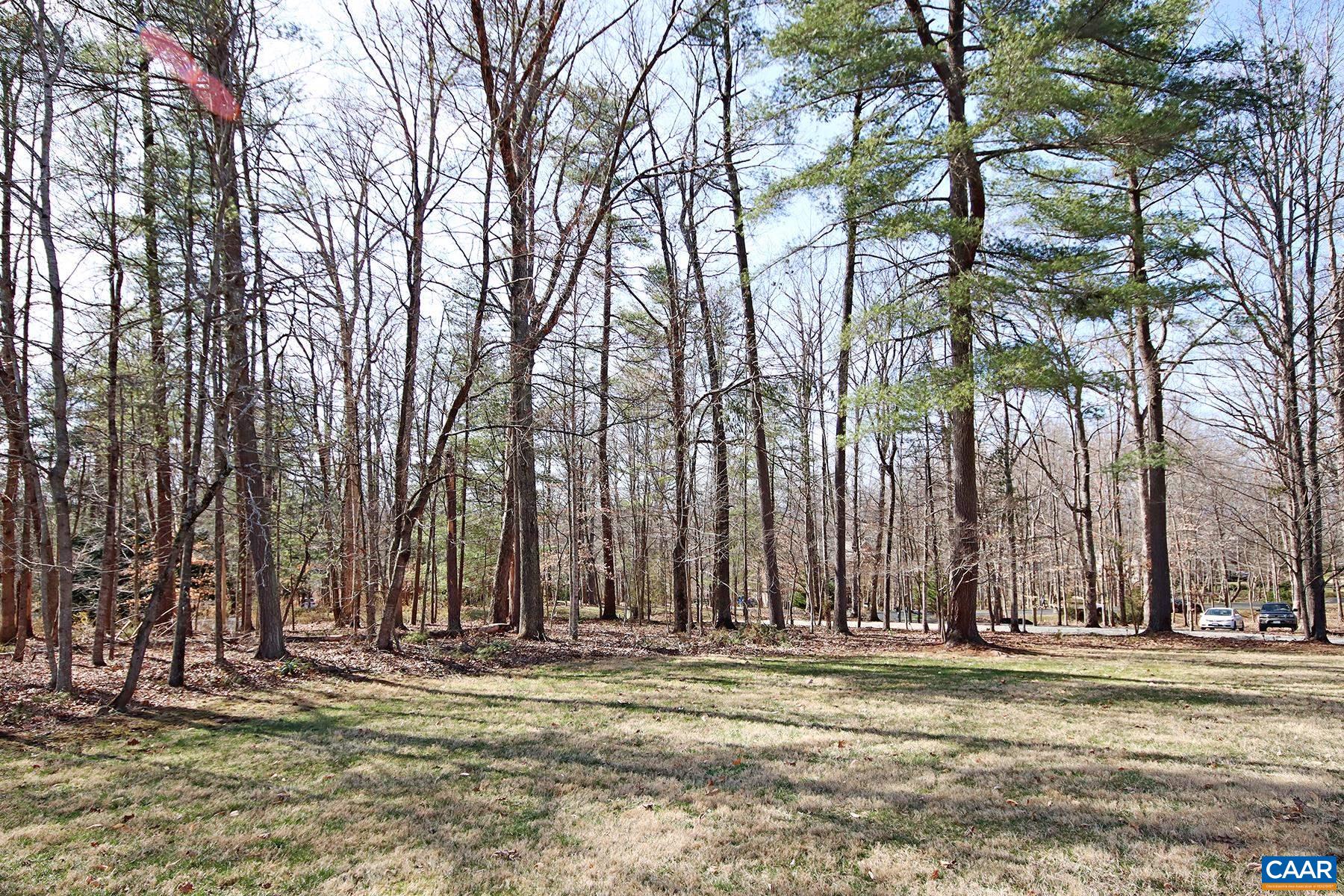 3105 Beau Mont Farm Road Charlottesville, VA 22901 - Photo 33 of 34 Gallery Image 33