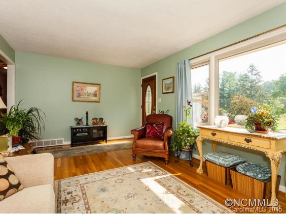 1080 Riceville Road Asheville, NC 28805 - Photo 4 of 23 Gallery Image 4