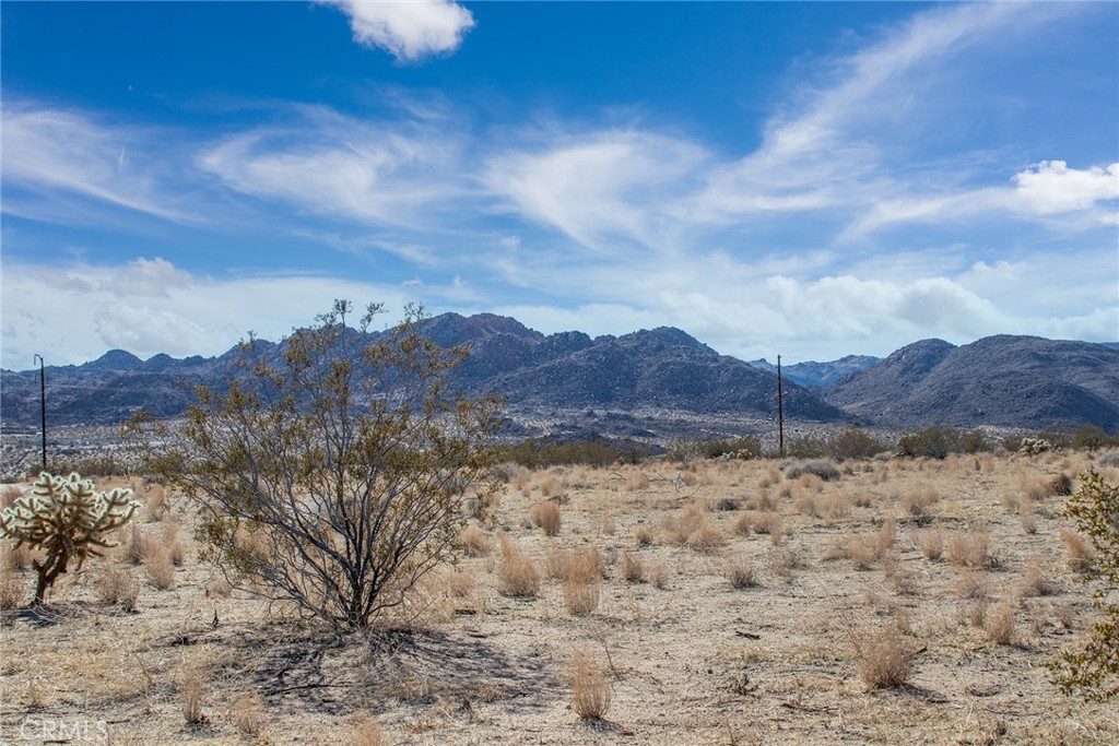 2222 Valley Vista Road Johnson Valley, CA 92285 - Photo 2 of 4